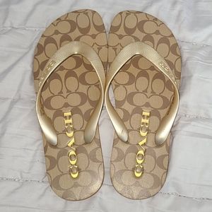 COACH & HAVAIANAS Flip Flops bundle